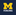 University of Michigan Fencing